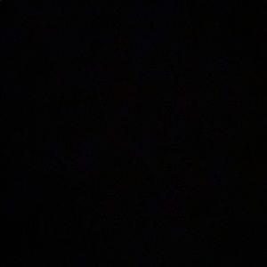 Meet your Posher, Monique